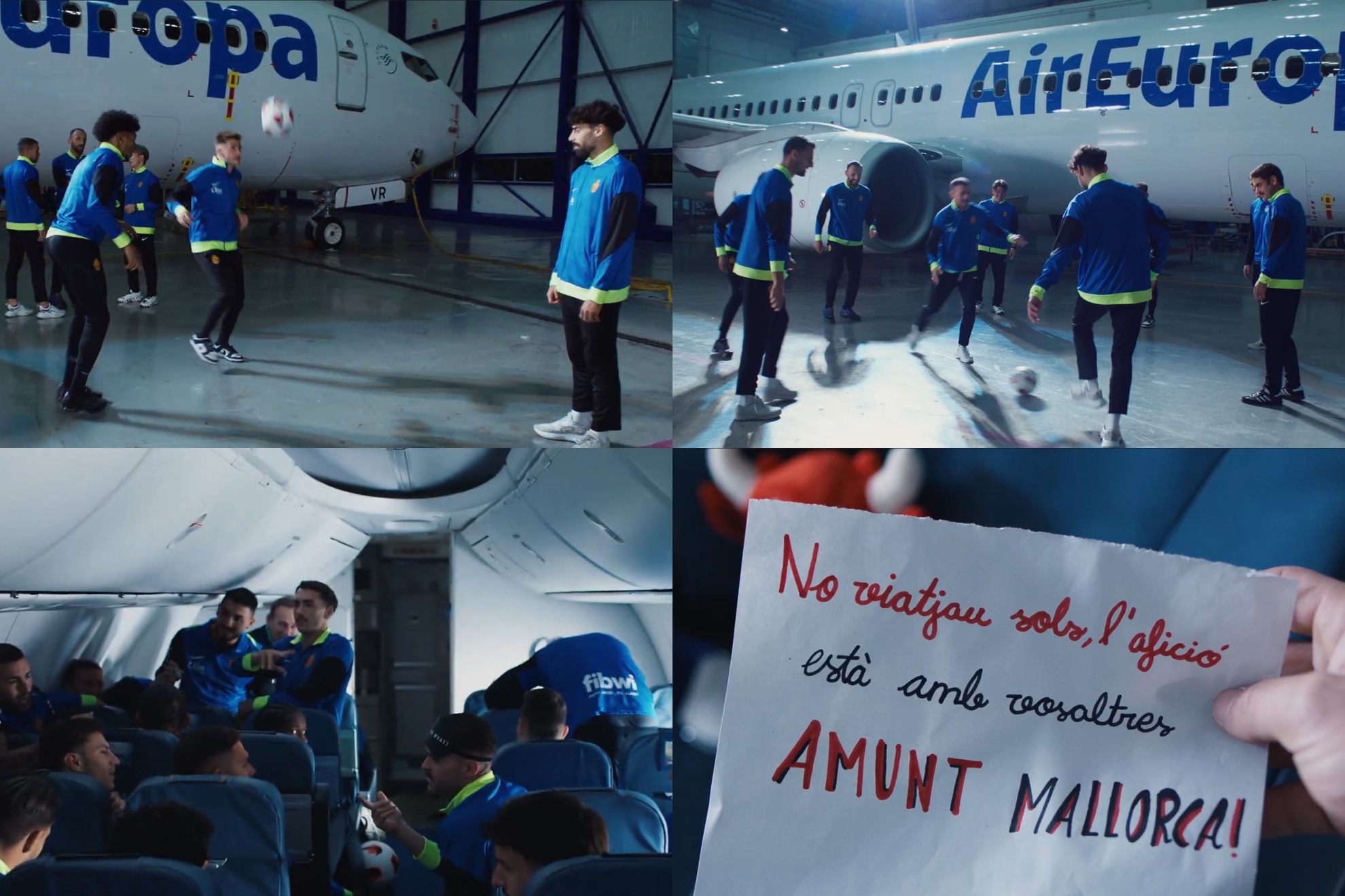 配合有组织 配合有组织